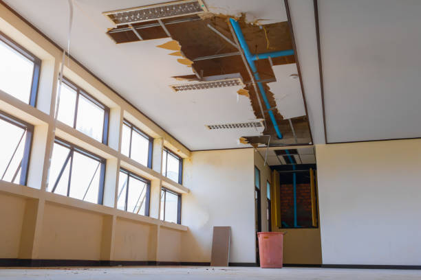 Best Emergency water damage restoration  in Haynesville, LA