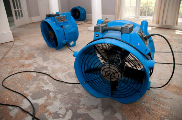 Water damage restoration mold remediation in LA