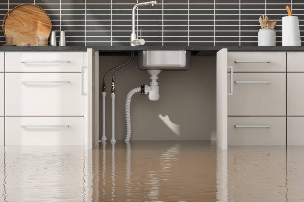 Best Sewage cleanup and water damage restoration  in Haynesville, LA