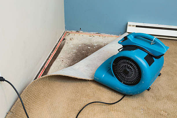 Best 24-hour water damage restoration  in Haynesville, LA