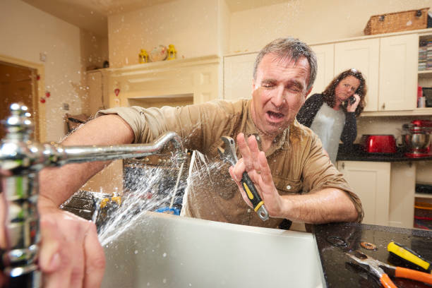 Best Mold removal after water damage  in Haynesville, LA
